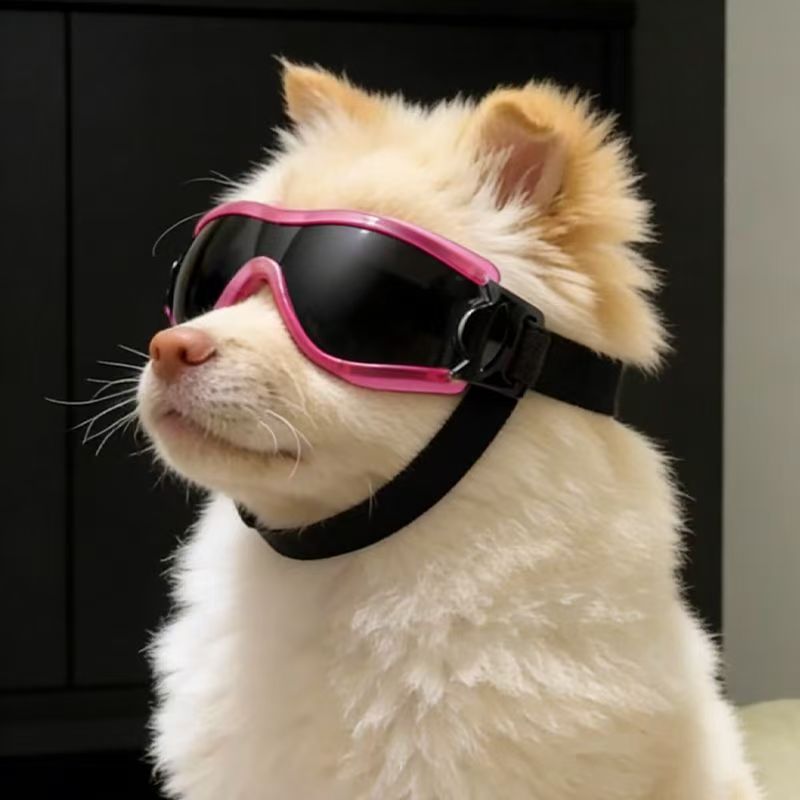Óculos de Proteção para Cães P - Sunglass Retainer Cord avaliação e preço